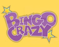 Bingo Crazy logo