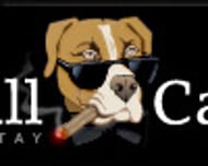 Pitbull Casino logo