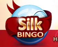 Silk Bingo logo